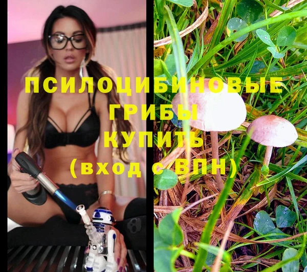 тгк Козловка