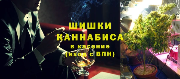 spice Кодинск