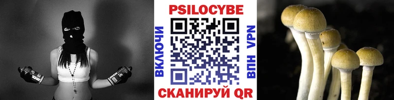 Псилоцибиновые грибы MAGIC MUSHROOMS  Купить закладки  Жигулёвск 